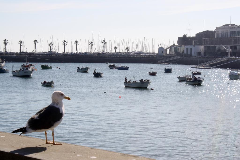Charming Cascais Apt. Номер фото